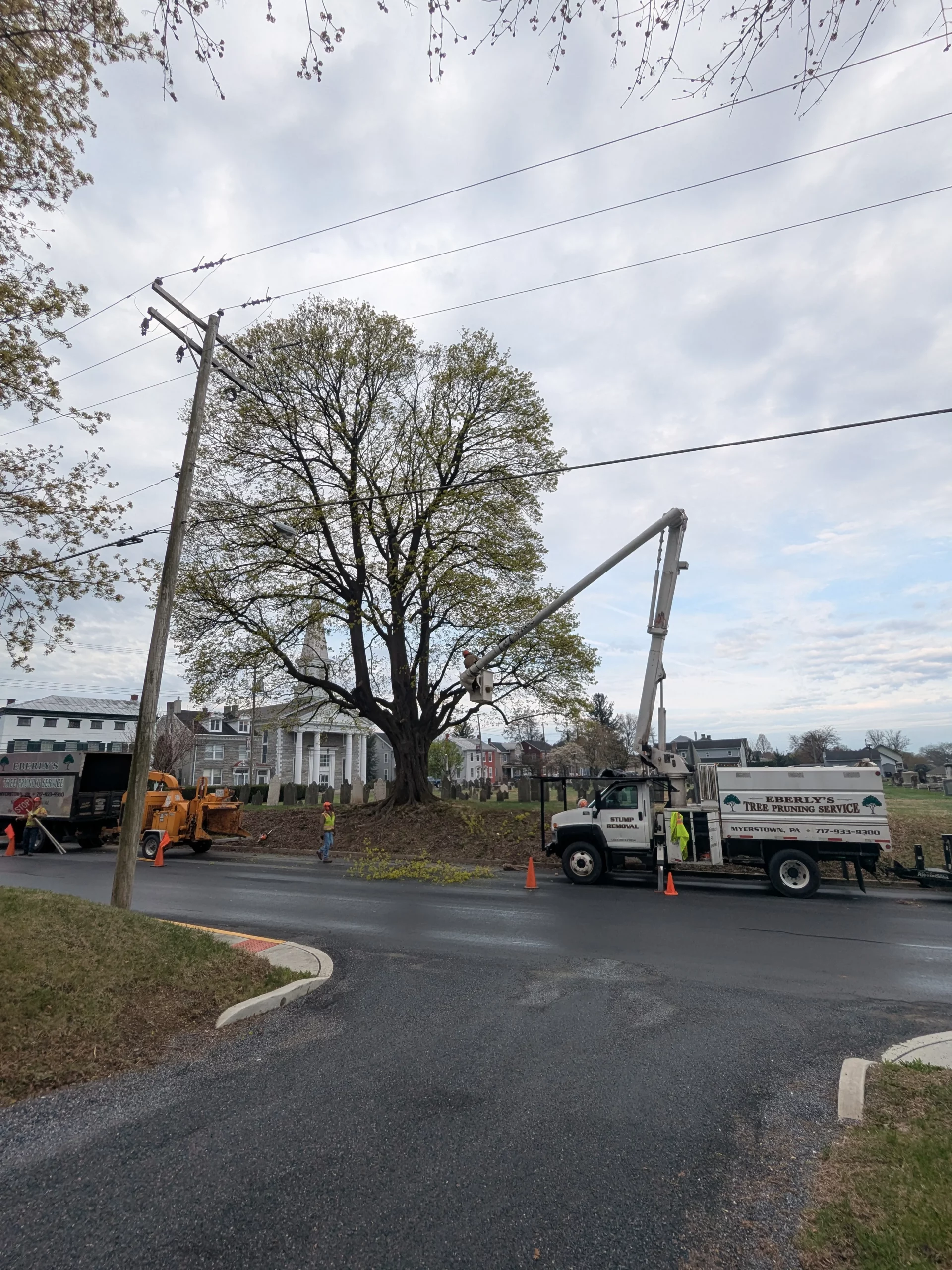 Tree Pruning with a bucket truck